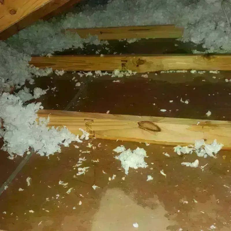 Attic Water Damage in Williamsburg, KY